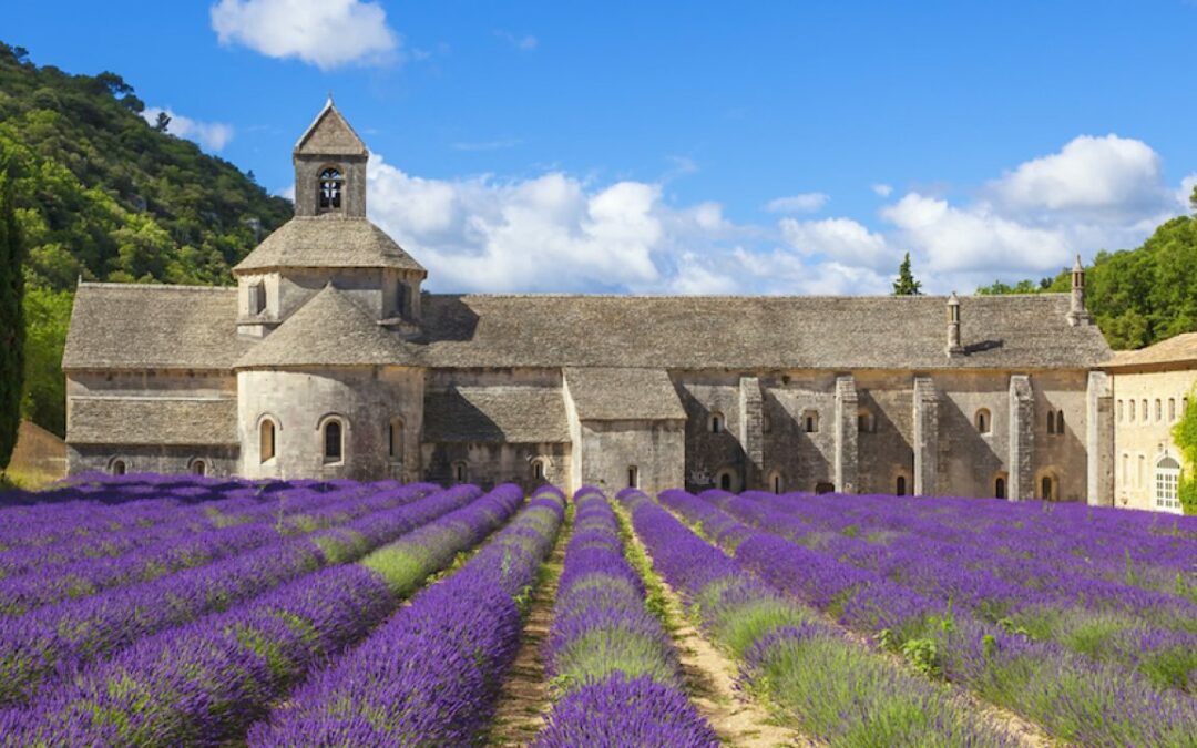 Immersion bien-être : Séjour en Provence